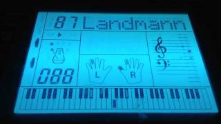 Frohlicher Landmann piano