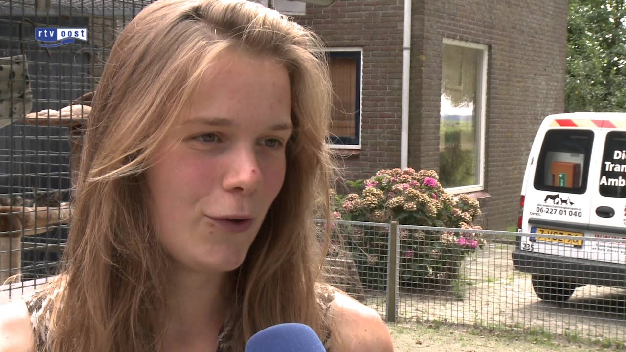 Dierenambulance Noord-Overijssel in problemen door betaald werk