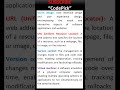 How to define UI/UX Design, URL, Version Control, Virtual Machine ?