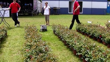 Field Robot Event 2012 - Rosebot testing task 1