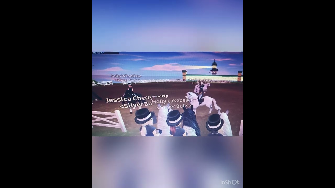 SILVER BULLS Dressage!