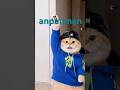 #anpanman#bts#cat#dance#shorts