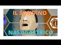 IL SONDINO NASOGASTRICO | COS'E' E COME SI POSIZIONA? | INFERMIERI online