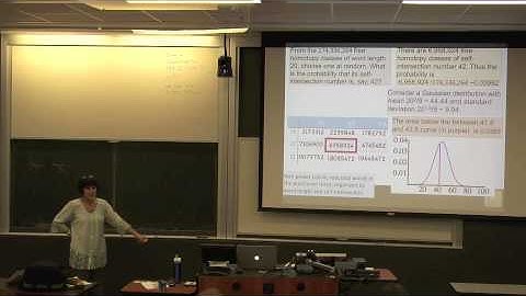 Moira Chas - Computer driven theorems and questions in geometry