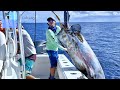 Amazing Giant Bluefin Tuna Fishing Skills || Catching Super Big Tuna In The Sea