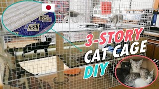 DIY 3-story Cat Cage | Japanese style floor | 4 kittens have stayed here for 2 night