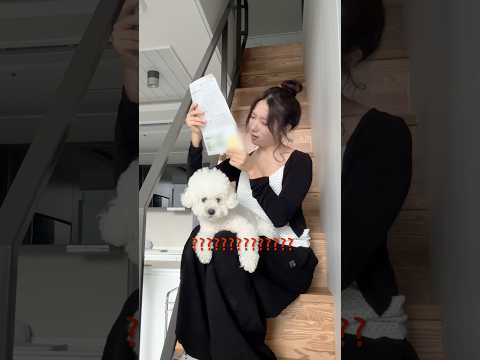 복층 살면서 관리비 폭탄 맞았습니다 ㄷㄷ thumbnail