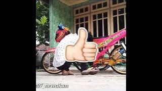LAGI VIRAL modif motor di marahin emaknya...