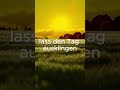 ruheton - Abendton II