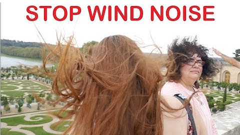 Easy way to Remove Wind Noise in Videos in small cameras .