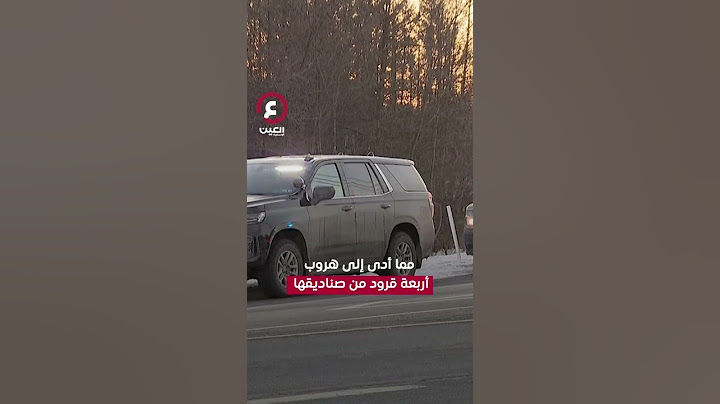تحطمت الشاحنة وفقدت 3 قرود ما القصة؟