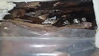 2900A Triangle place durham nc