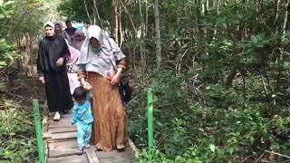 Hutan Bakau (Mangrove) Dumai