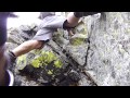 Mt Lindsey CO, Class 4 Section Near Summit, David Stuck in Vertical Crack