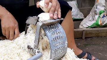 Kuam qos pub qaib/make for feed chicken