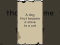 A dog that became a slave to a cat