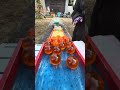 Marble Run Race★マーブルランのプロによる最高のマーブルランレース3