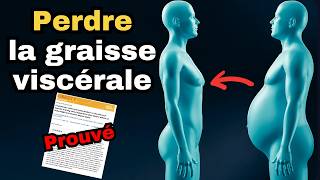 Perdre La Graisse Viscérale Rapidement Preuves Scientifiques