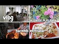 Vlogcomiendo enchiladas con mi mamalin vm