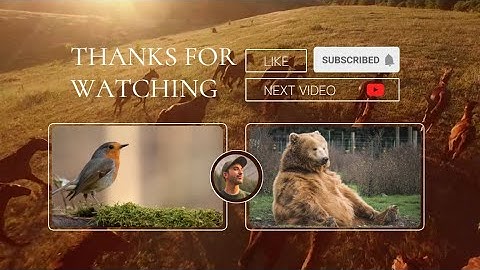 Free Nature Animal YouTube Outro Video Template (Customizable) - FlexClip
