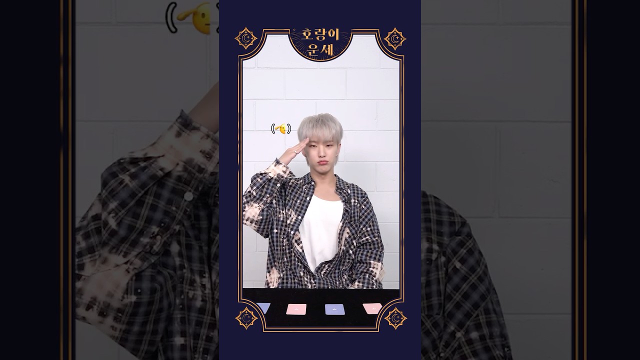 [HOSHI TAMTAM] 호랑이 운세 #4