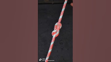 How to Tie a Figure Eight Loop @RopeMaster-x1q #knot #shorts