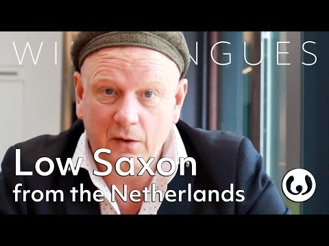 The Low Saxon