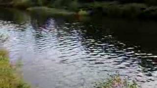 Werdohl Klip 2