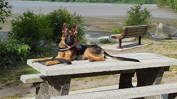 Mara | Human Reactive Before & After Transformation