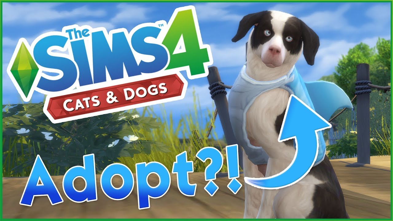 the sims 4 cats and dogs adopt stray