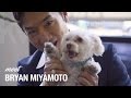 KW Los Feliz | Meet Bryan Miyamoto