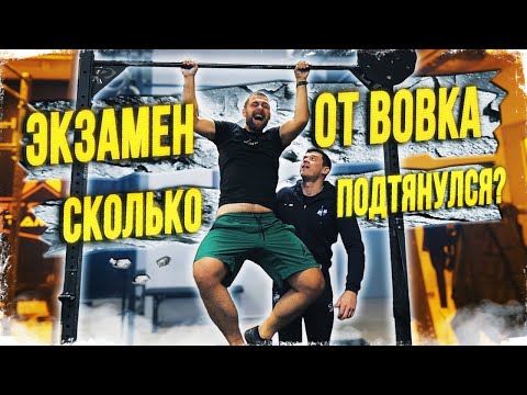 ВОВК УСТРОИЛ ЭКЗАМЕН СЕЛИВАНОВУ! СКОЛЬКО РАЗ ПОДТЯНУЛСЯ?