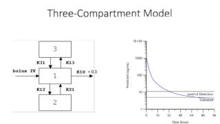 Module 14 Lecture 2: Tissue half-life
