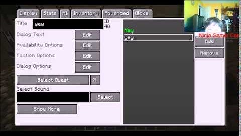 Tutorial: How to do dialog with Custom NPCS