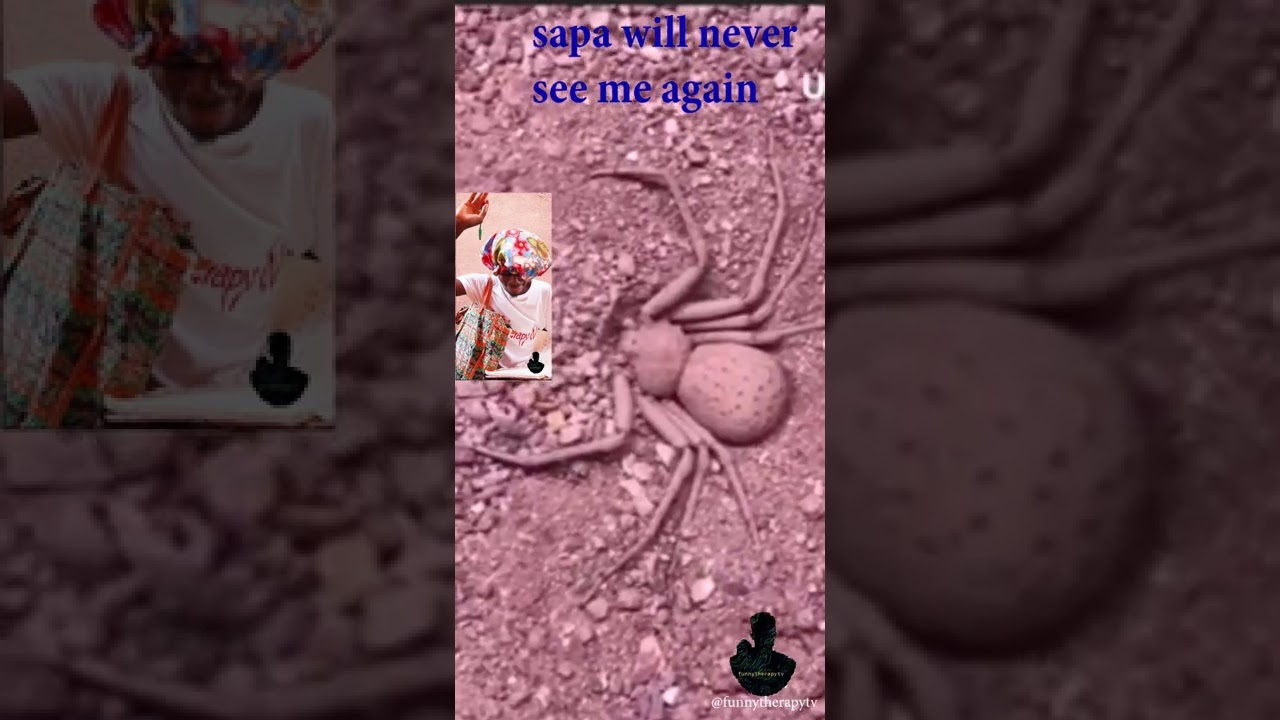 Spider-Man Funny Video | SAPA CAN NOT SEE ME AGAIN | SHORT | FUNNYTHERAPY TV