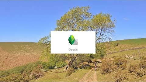 How I Edit My Photos - Add a Matte/Faded Effect Look to Your Photos in Snapseed!