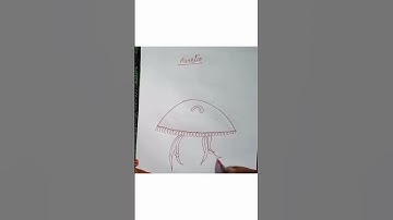 How to Aurelia #aurelia#aurelia drawing # simple drawing aurelia