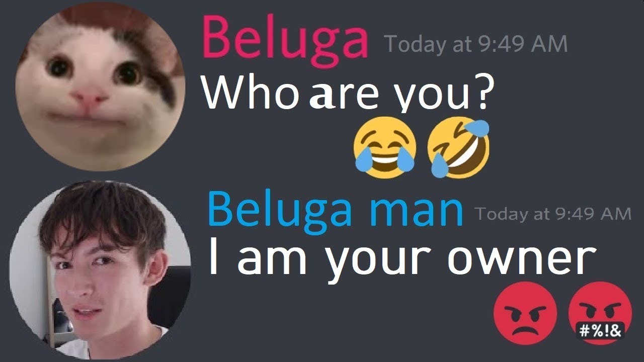 When beluga meets beluga man