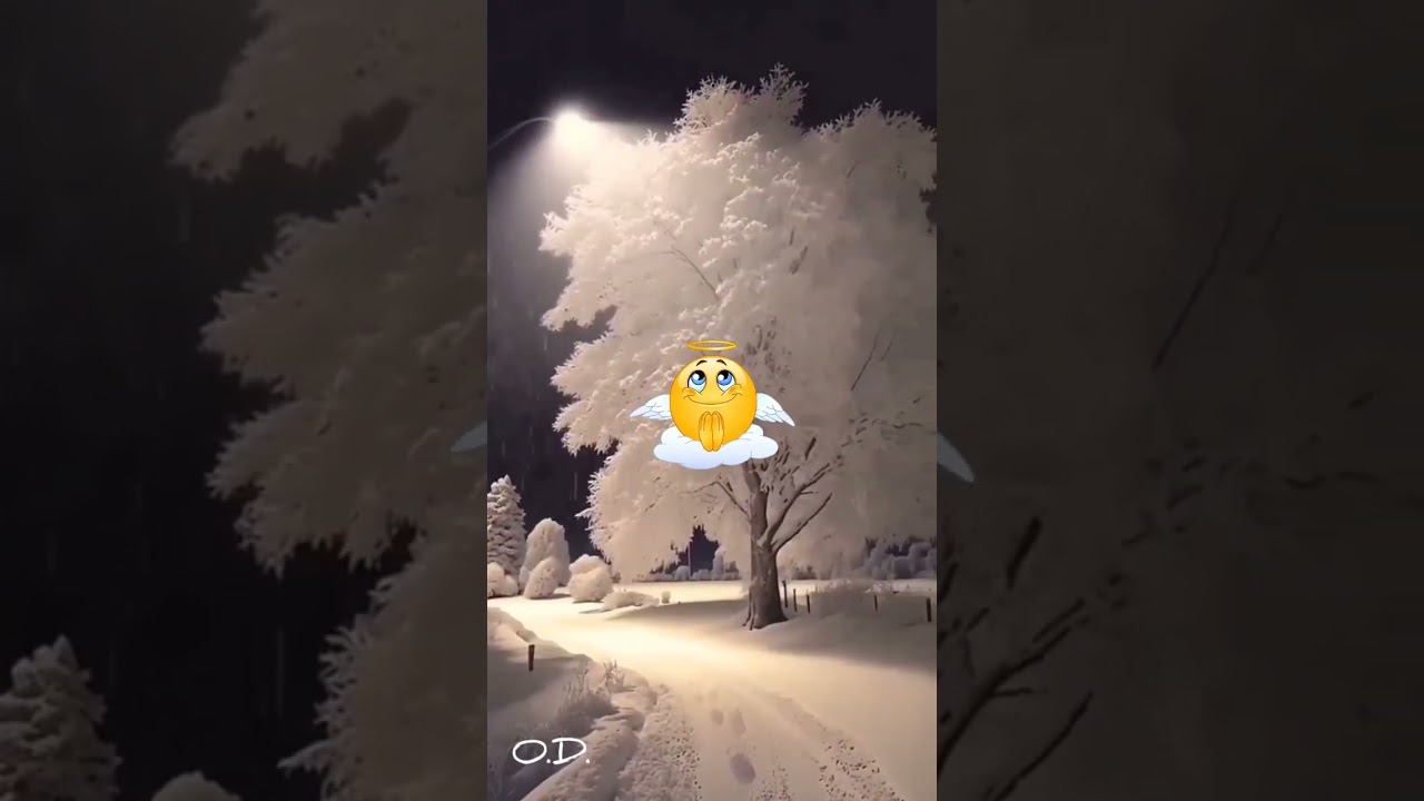 Мир внутри нас. #shortvideo #жизнь #мудрость #motivation #life #like #shorts #short