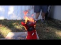 Middle of video