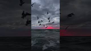 Hayallerin peşinde koşarken belki de yorulduk..#shortvideo #gece #viralvideo #istanbul #siir