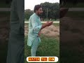 چھوٹے ملک کی شلوار میں کیڑا