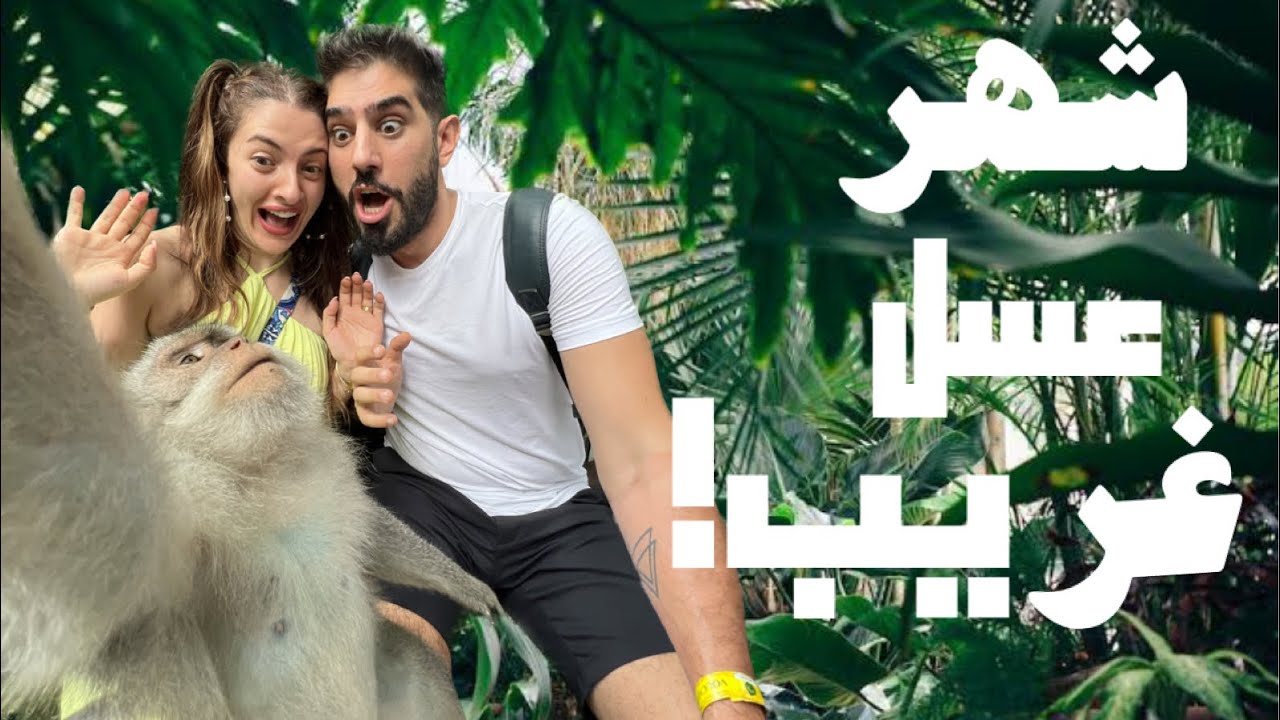 شهر عسل كثير غريب  في بالي | والقرد اخد سيلفي معنا🐒