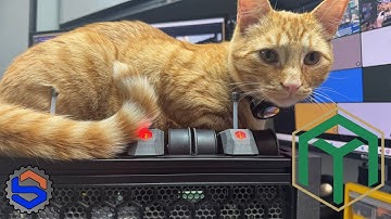 Box Turtle, LDO Kit - Part 5