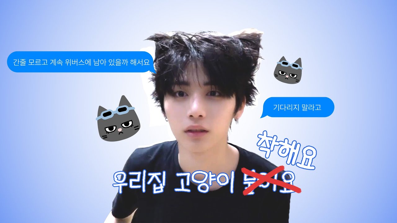 [보넥도/태산] 태산이의 다정함 모음zip.