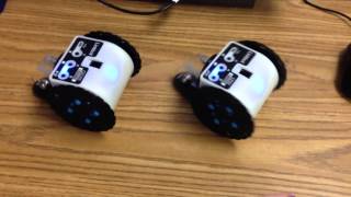 C-Stem Movie Scene One