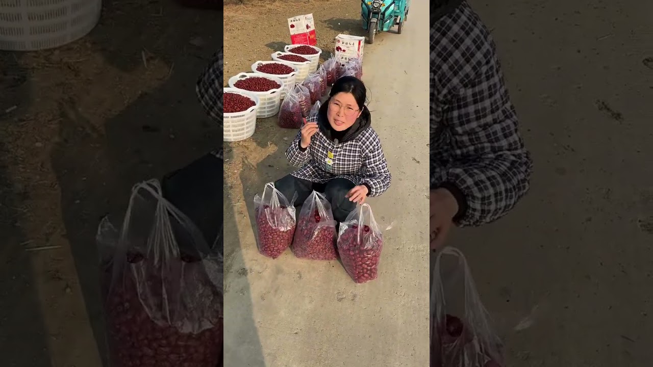 Premium Nutritious Red Dates for Daily Wellness..