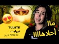 الرأي ورد الفعل TUL8TE تووليت Narein نارين 