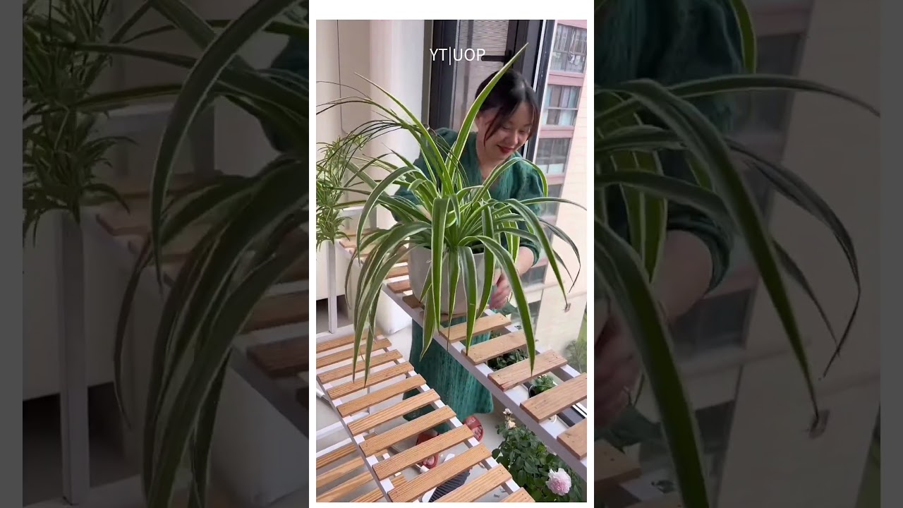 UOP Balcony Best Plant Stand  / 