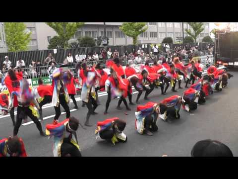 極津　 2015安濃津よさこい　10/10（土）　裁判所前会場